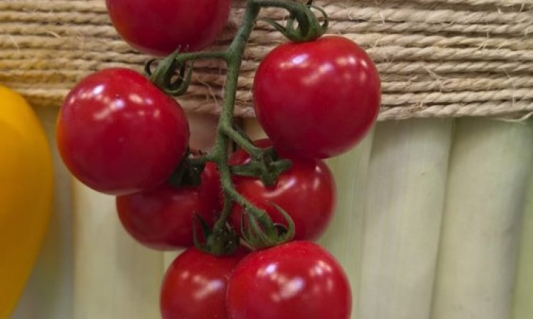Fruit Attraction 2026 à Madrid : les tendances fruits et légumes à retenir pour les professionnels de la Loire