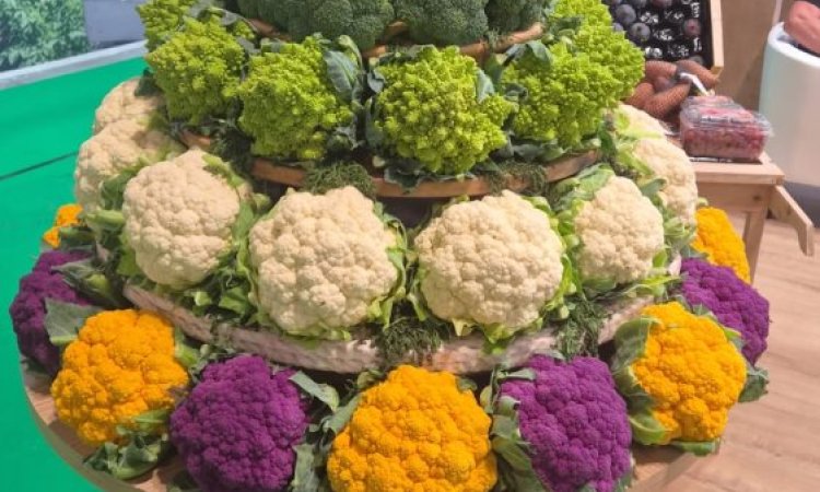 Fruit Attraction 2026 à Madrid : les tendances fruits et légumes à retenir pour les professionnels de la Loire
