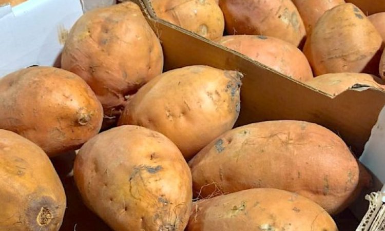 Vente et livraison de courges et légumes racines à Saint-Étienne : la saison d’automne est lancée