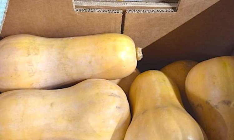 Vente et livraison de courges et légumes racines à Saint-Étienne : la saison d’automne est lancée