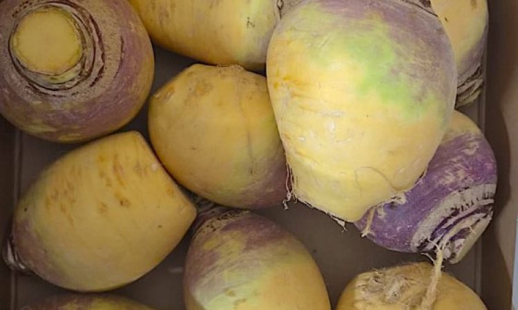 Vente et livraison de courges et légumes racines à Saint-Étienne : la saison d’automne est lancée