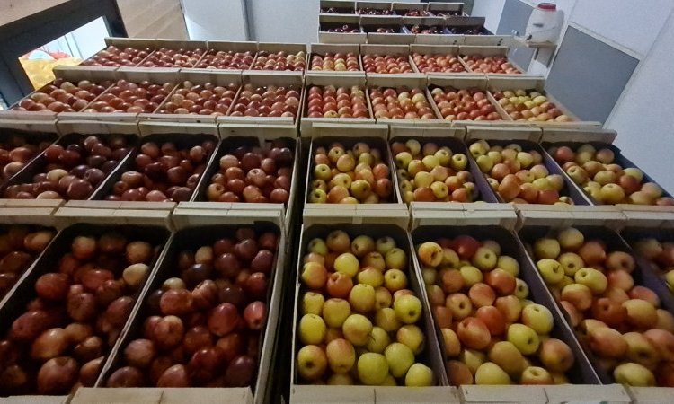 LIVRAISON FRUITS ET LEGUMES POUR PROFESSIONNEL SUR ANNONAY