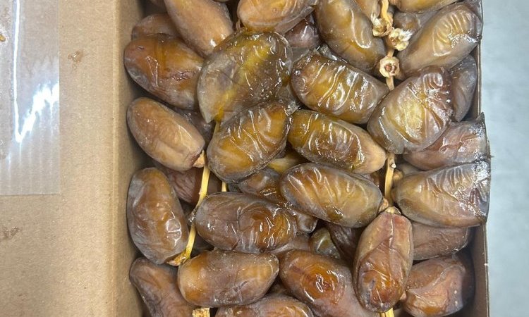 Vente achat livraison dattes origine Algérie dans la Loire