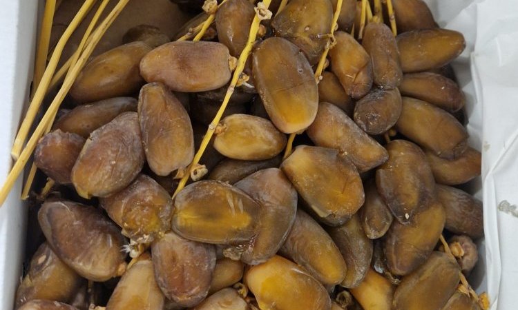 Vente achat livraison dattes origine Algérie dans la Loire