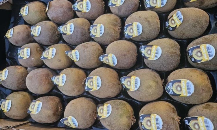 Vente et livraison d'agrumes d'origine Italie et Portugal sur Saint-Étienne