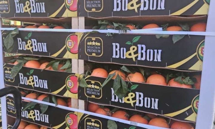 Vente et livraison d'agrumes d'origine Italie et Portugal sur Saint-Étienne