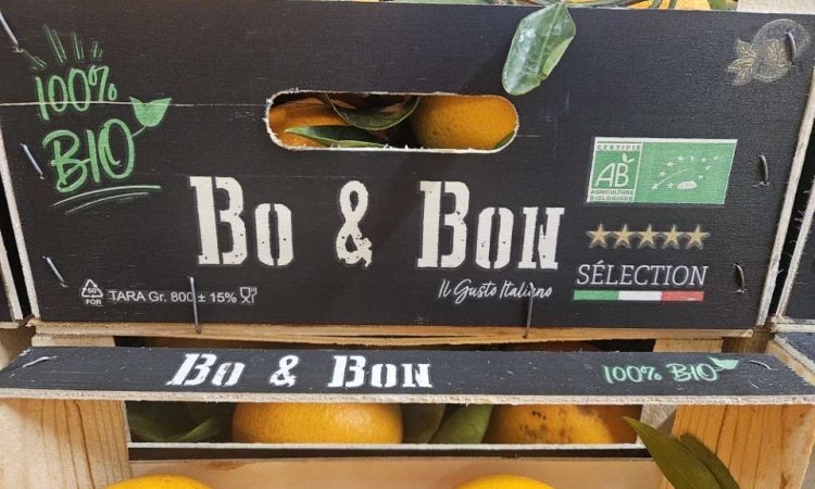 Vente et livraison d'agrumes d'origine Italie et Portugal sur Saint-Étienne