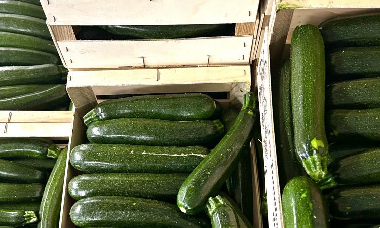 Vente et livraison de courgettes dans la Loire