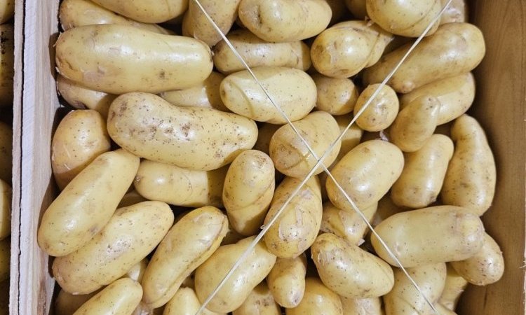 Pomme de terre Delikatess livrée aux professionnels de la restauration