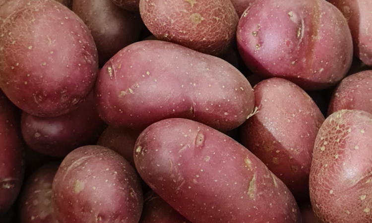 Vente et livraison de pommes de terre dans la Loire