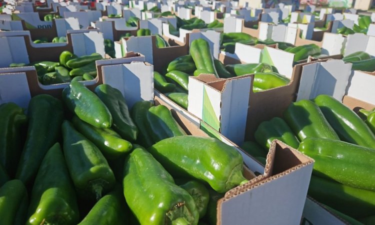 Vente et livraison de fruits et légume en volume sur Saint-Etienne