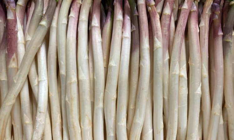 Vente et livraison d'asperge secteur Saint-Etienne