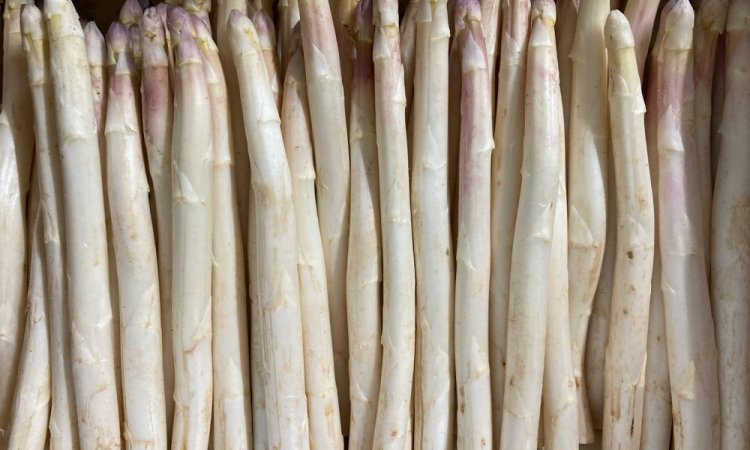 Vente et livraison d'asperge secteur Saint-Etienne