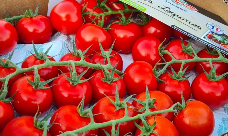 TAP FRUITS vend et livre des fruits et légumes dans la Loire