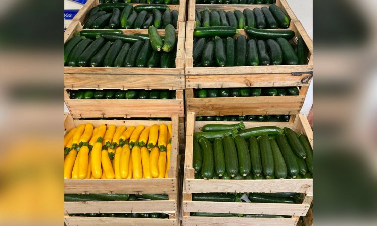 Vente et livraison de fruits et légumes gros volumes vers Saint-Etienne