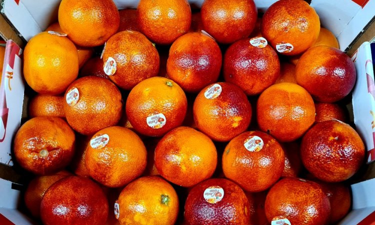 ORANGE SANGUINE LIVRAISON FRUITS ET LEGUMES POUR PROFESSIONNEL SUR SAINT CHAMOND