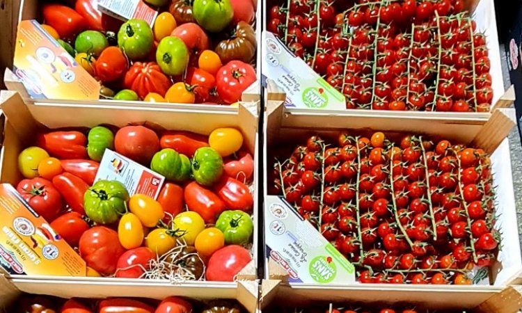 VENTE ACHAT LIVRAISON FRUITS ET LEGUMES DANS LA LOIRE