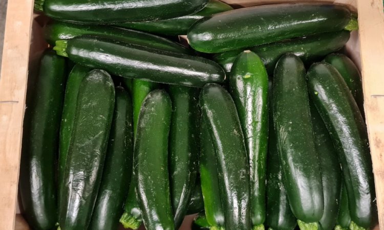 COURGETTE TAP FRUITS LIVRAISON FRUITS ET LEGUMES POUR PROFESSIONNEL SUR ANNONAY