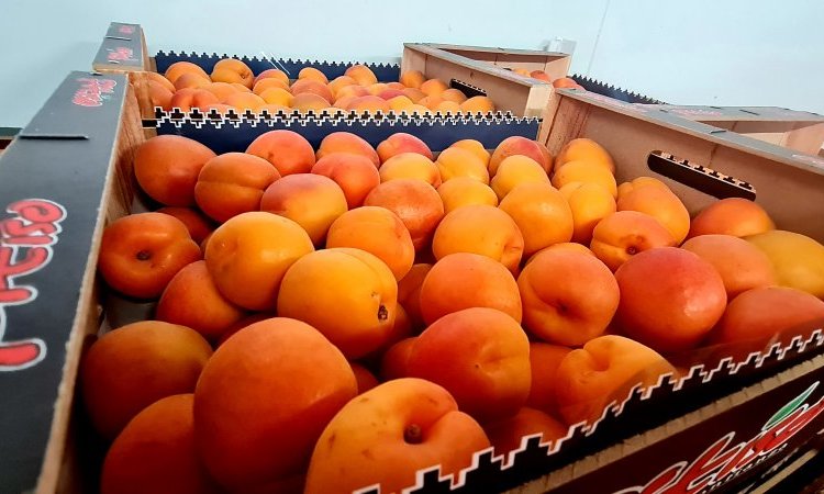 VENTE ACHAT LIVRAISON FRUITS ET LEGUMES DANS LA LOIRE