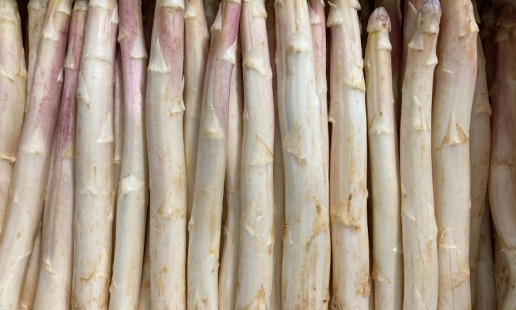 Vente et livraison d'asperge secteur Saint-Etienne