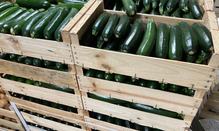 Vente et livraison de fruits et légumes gros volumes vers Saint-Etienne