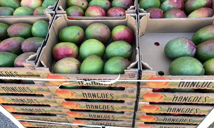 Vente et livraison de fruits et légumes gros volumes vers Saint-Etienne