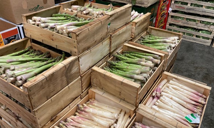 Vente et livraison de fruits et légumes gros volumes vers Saint-Etienne