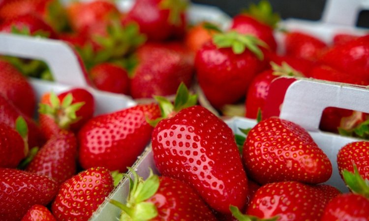 Vente et livraison de fruits de saison dans la Loire