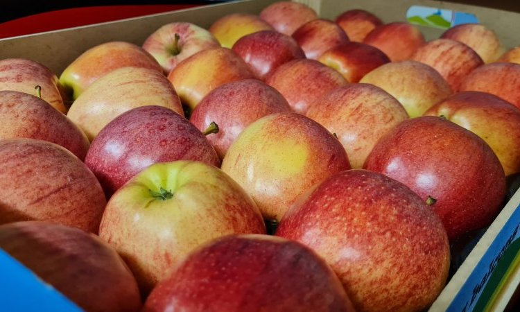 VENTE ACHAT LIVRAISON FRUITS ET LEGUMES SUR SAINT ETIENNE