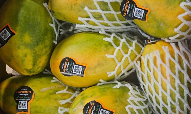 Fruits exotiques en vente disponibles à la livraison dans la Loire
