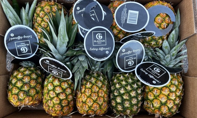 TAP FRUITS vend et livre des fruits et légumes dans la Loire