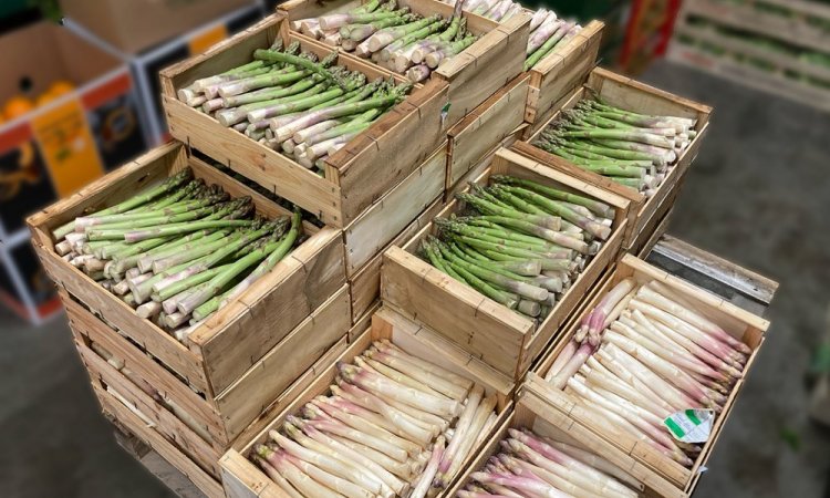 Vente et livraison d'asperge secteur Saint-Etienne