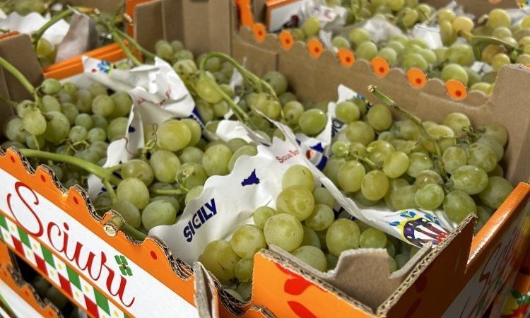 TAP FRUITS vend et livre des fruits et légumes dans la Loire