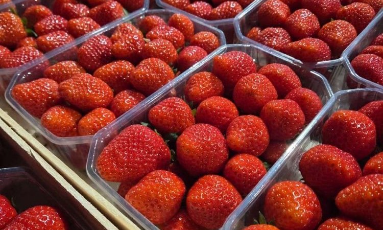 Vente et livraison de fruits et légumes frais de printemps dans la Loire