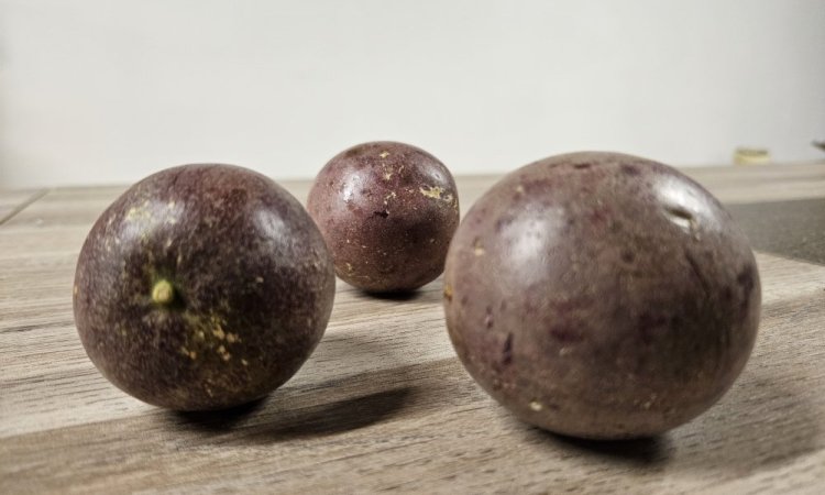 TAP FRUITS vend et livre des fruits exotiques dans la Loire