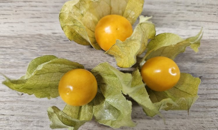 TAP FRUITS vend et livre des fruits exotiques dans la Loire