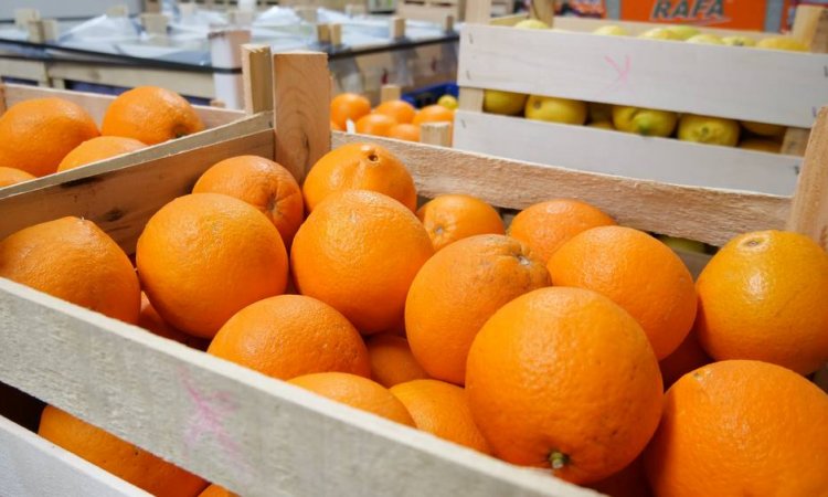 Cagettes de fruits et légumes à Saint-Étienne