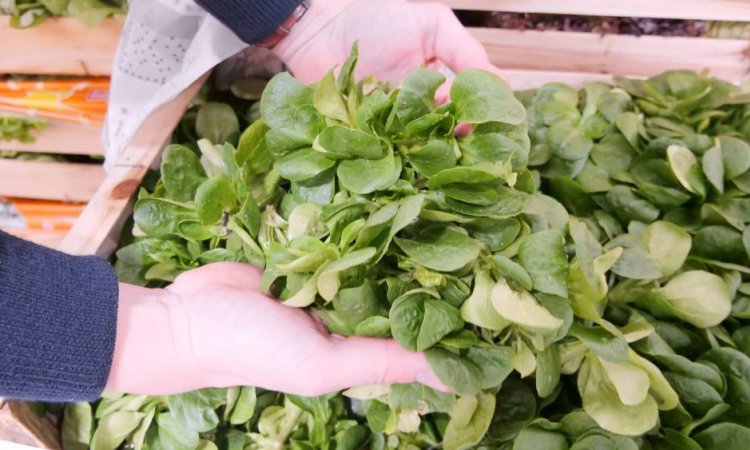 Cagettes de fruits et légumes à Saint-Étienne