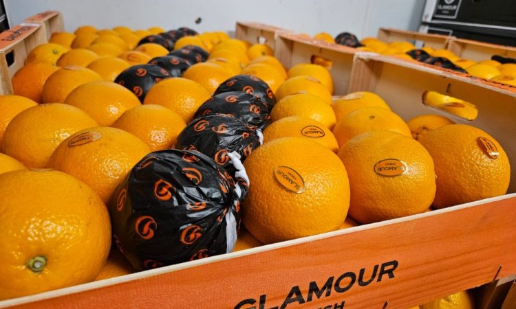 Vente et livraison large gamme grand volume de fruits et légumes dans la Loire